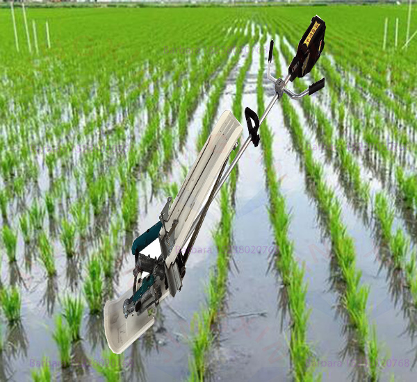 Agriculture Farming Rice - Cheap Price Hot Sale 1 Row