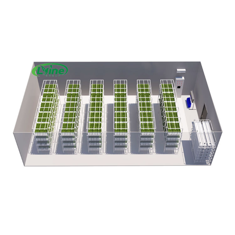 Hydroponic Nft Channel - Agricultural Greenhouses Lettuce Nft Hydroponics System