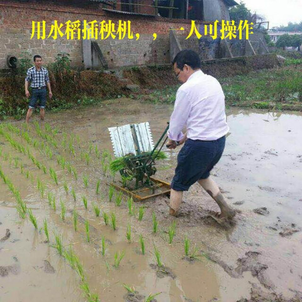 Rice transplanter Hand-cranked – обзор и цена Agriculture Farming Rice