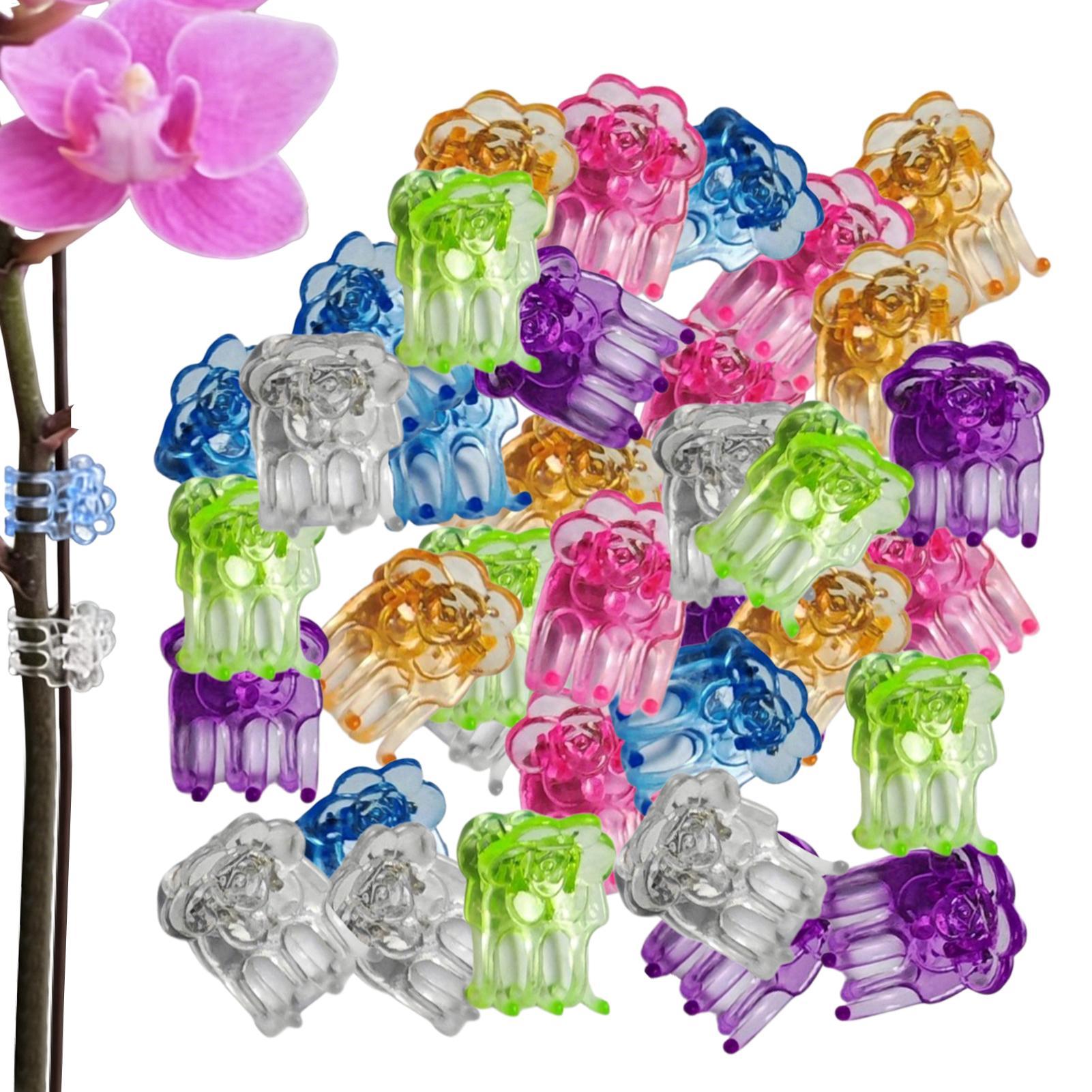 Orchid Clips 60 Pieces Butterf – обзор и цена Greenhouse Plastic Film
