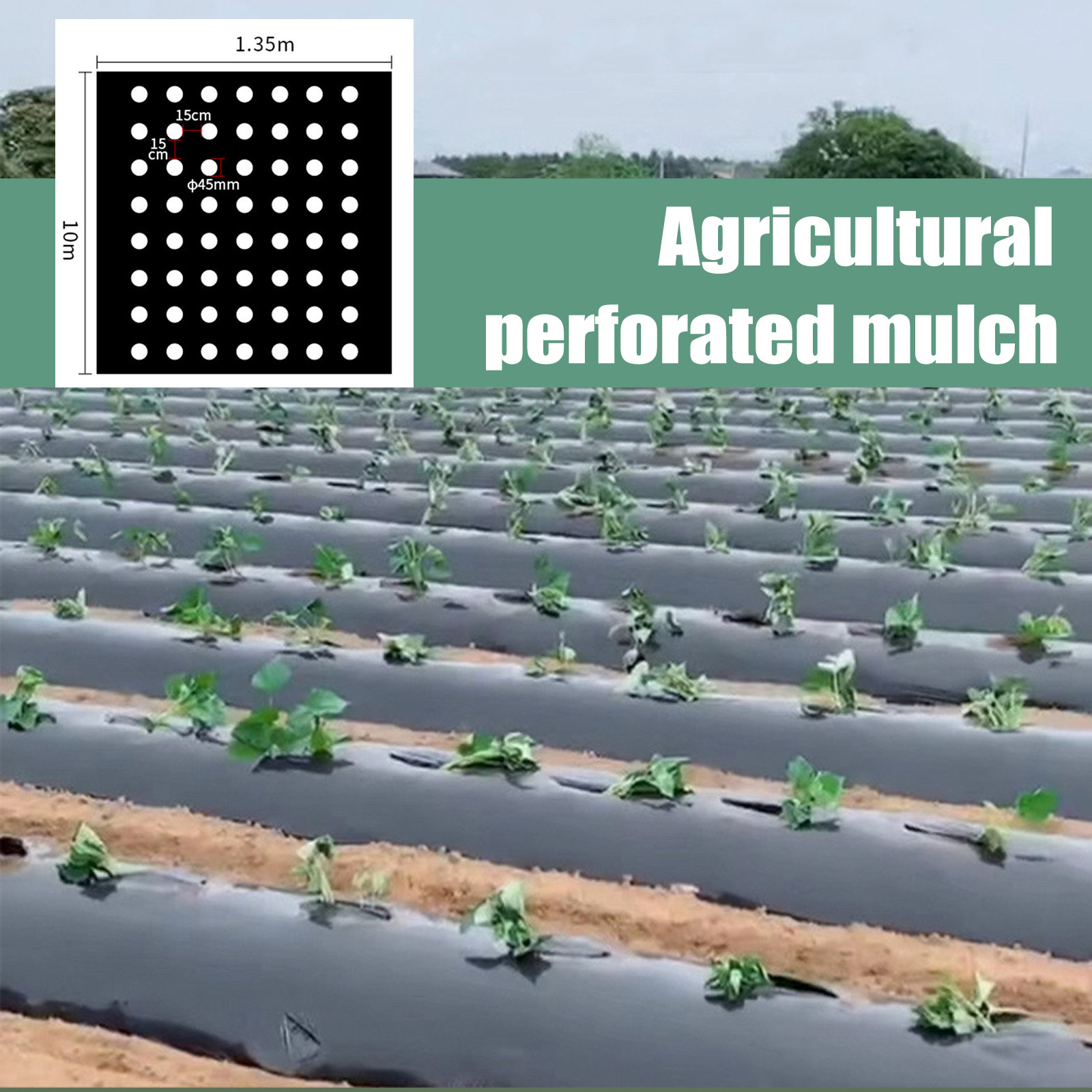 PE Perforated Mulch Film Farm  – обзор и цена Greenhouse Plastic Film