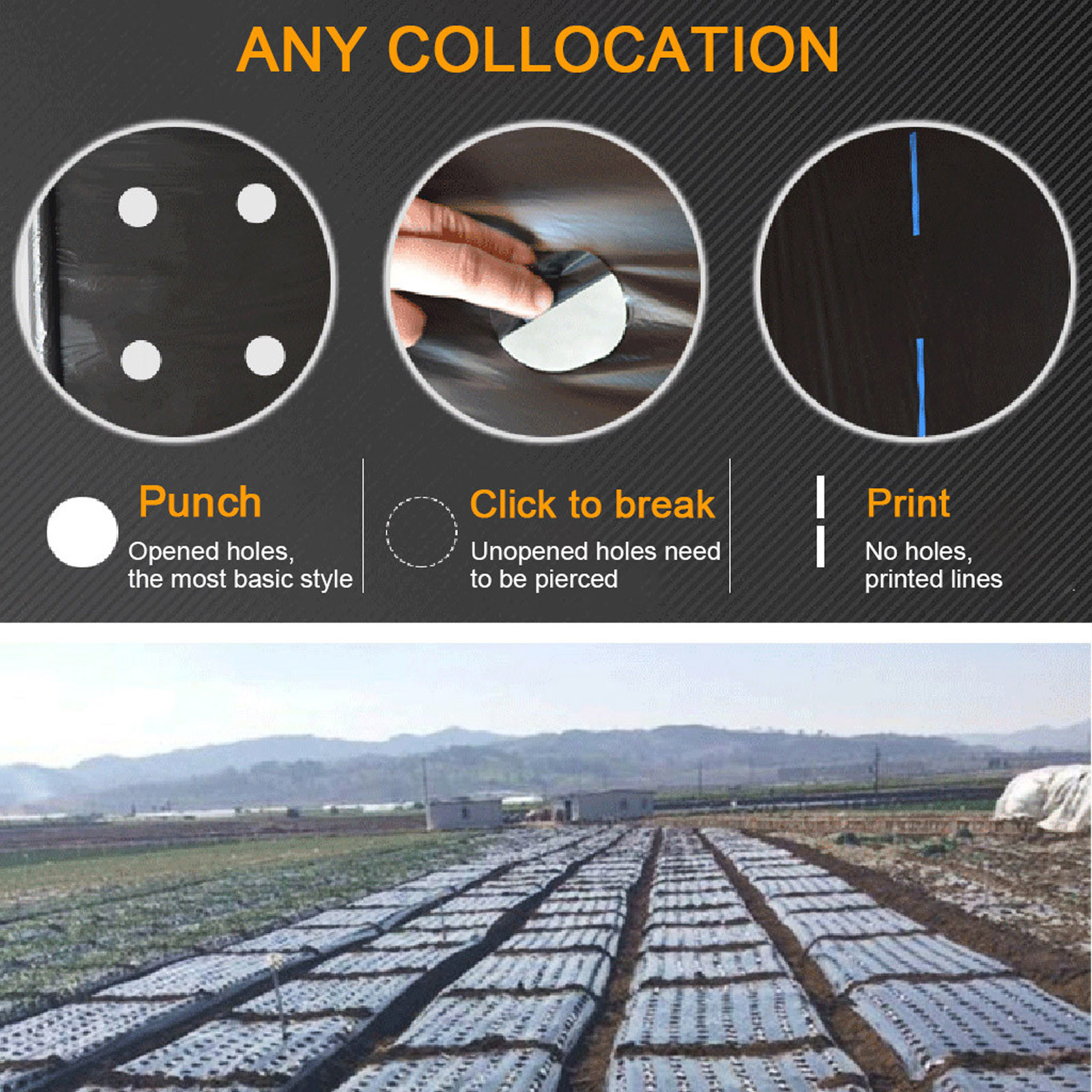 PE Perforated Mulch Film Farm  – обзор и цена Greenhouse Plastic Film