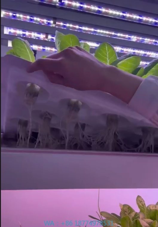 f Greenhouse Agricultural Equi – обзор и цена Agriculture Farming System