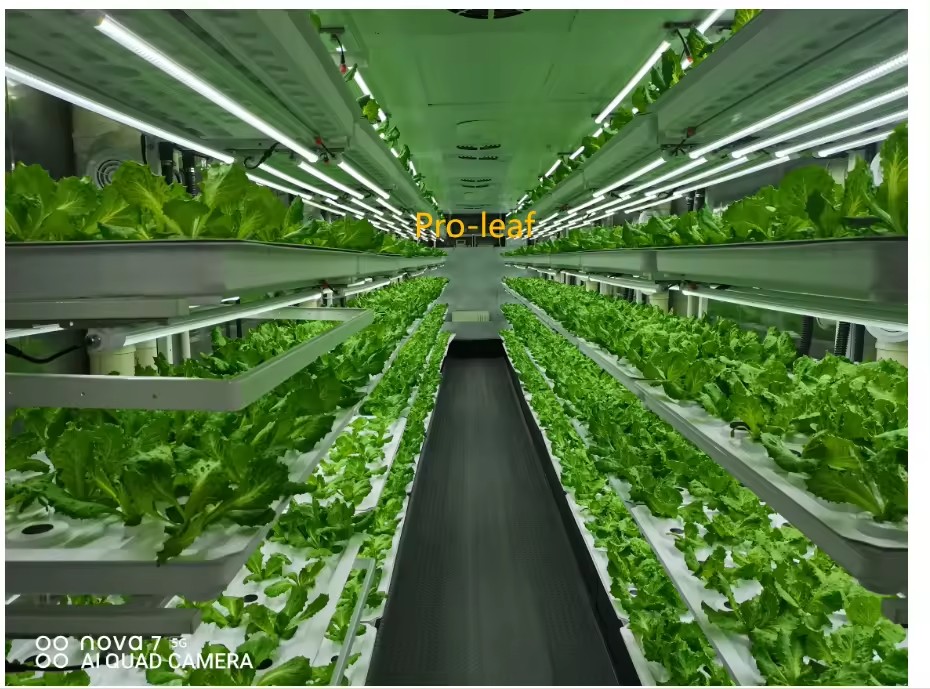 f Greenhouse Agricultural Equi – обзор и цена Agriculture Farming System