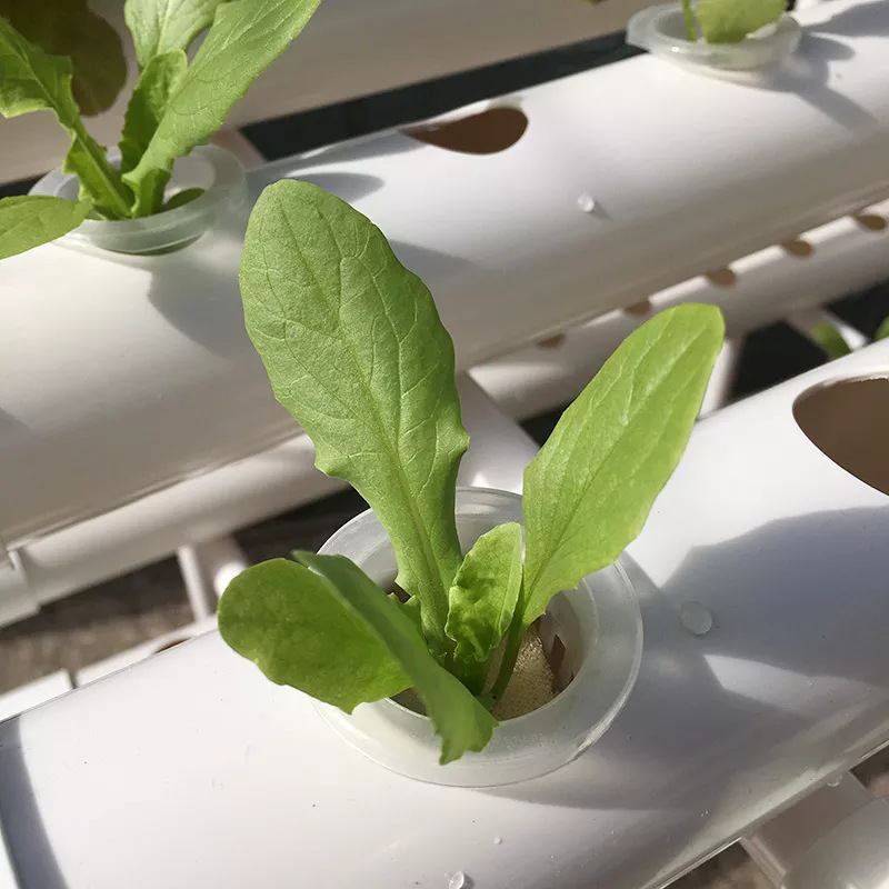 Factory Direct 3-layer Vertica – обзор и цена Hydroponic Nft Channel
