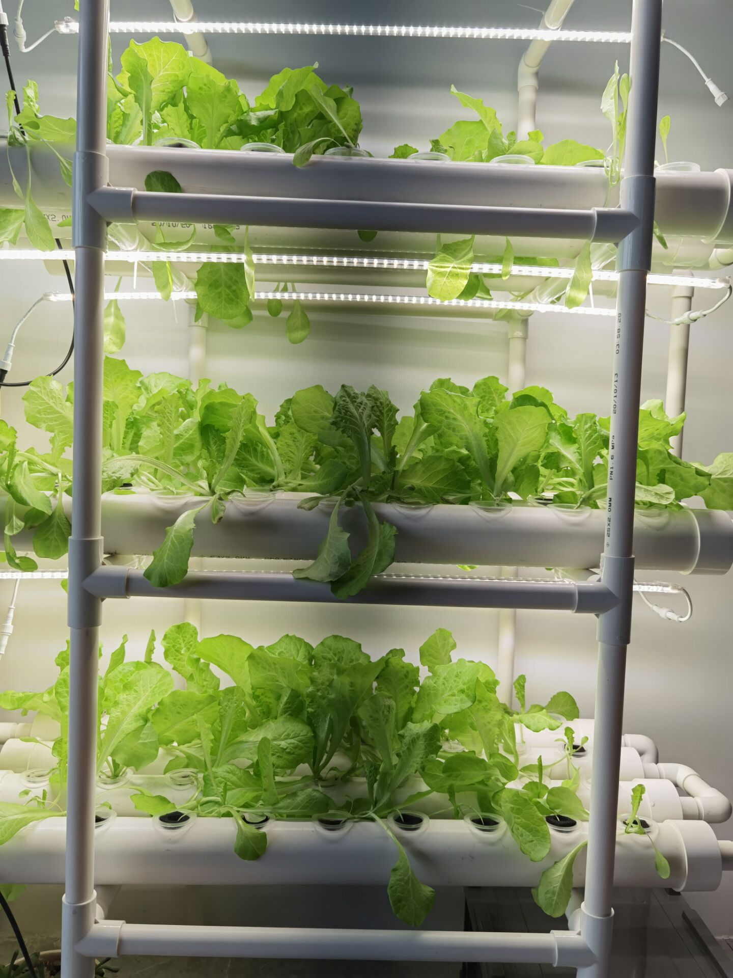 Factory Direct 3-layer Vertica – обзор и цена Hydroponic Nft Channel
