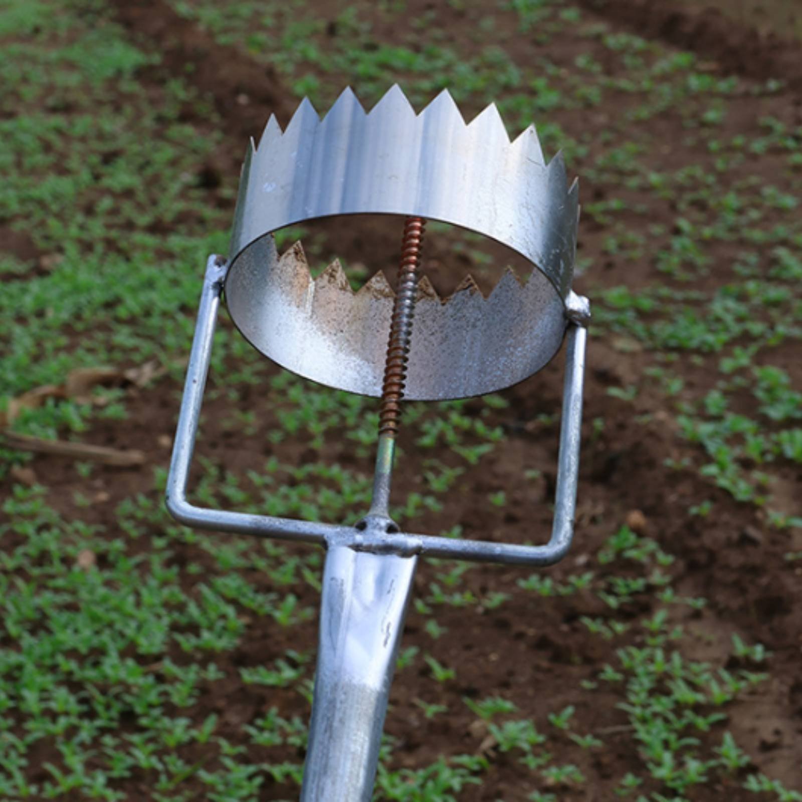 Mulch Film Hole Puncher Stainl – обзор и цена Greenhouse Plastic Film