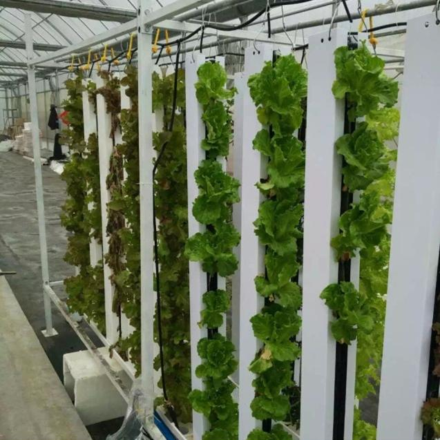 PVC Pipe Agricultural Greenhou – обзор и цена Hydroponic Nft Channel