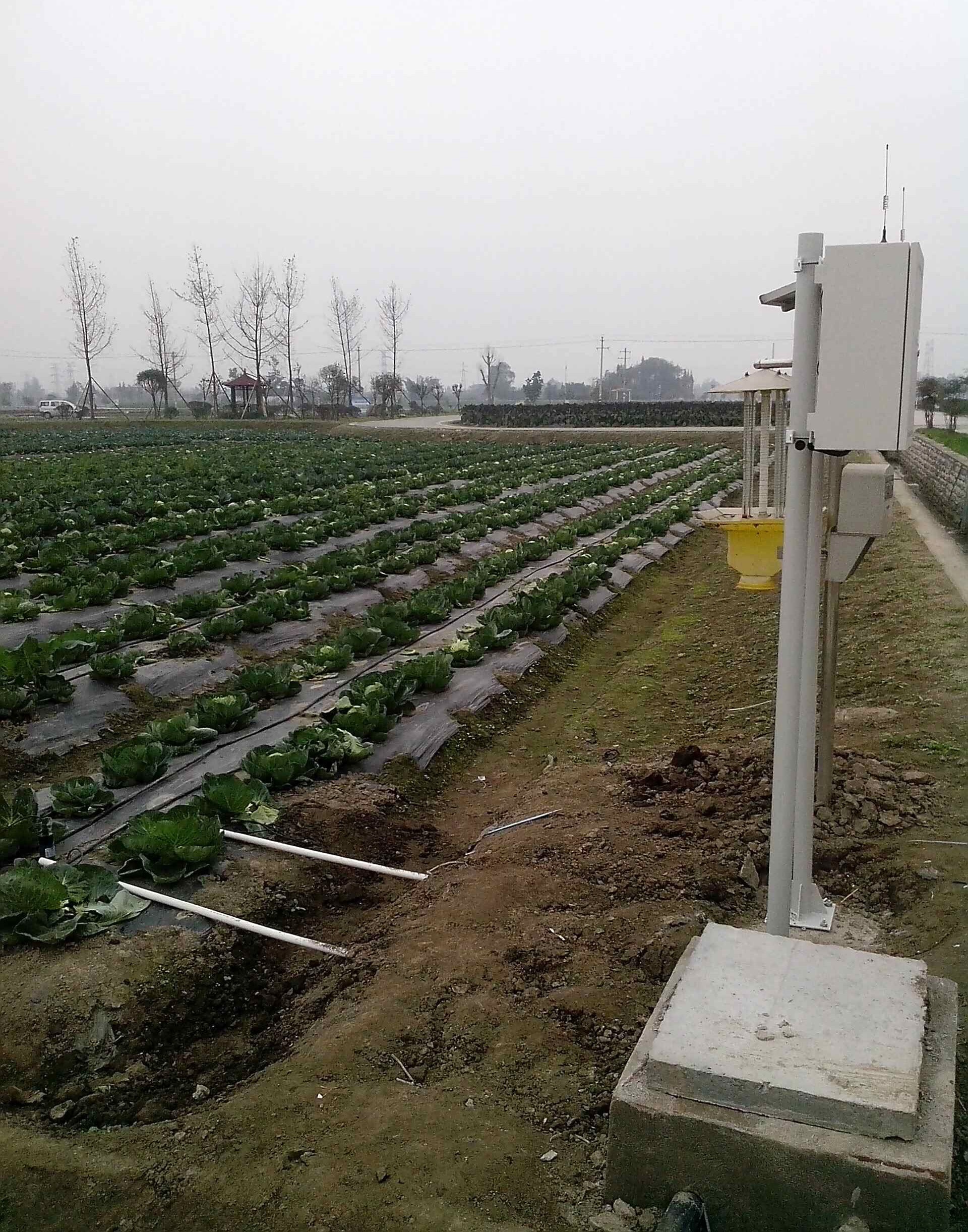 In stock 2026 Smart Crops Farm – обзор и цена Agriculture Farming System