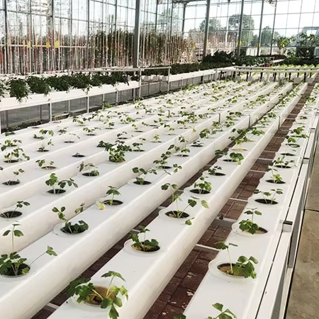 Commercial Hydroponics Plant S – обзор и цена Hydroponic Nft Channel