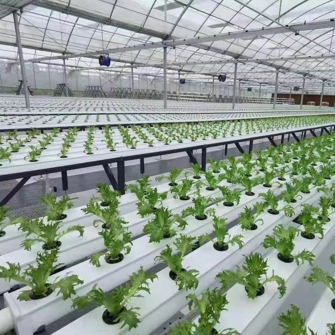 Commercial Hydroponics Plant S – обзор и цена Hydroponic Nft Channel