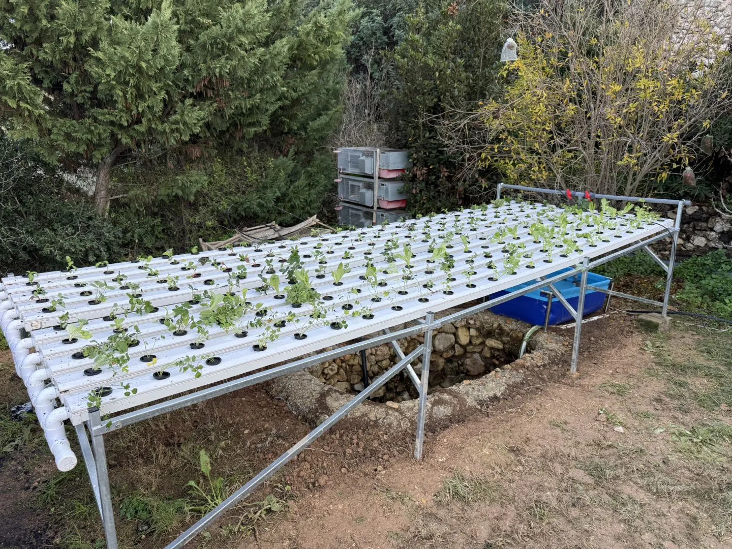 Commercial Hydroponics Plant S – обзор и цена Hydroponic Nft Channel