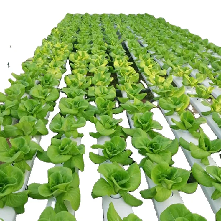 Manufacture Produce Vertical H – обзор и цена Hydroponic Nft Channel