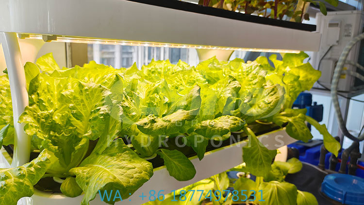 c Agriculture Machine to Growi – обзор и цена Agriculture Farming System