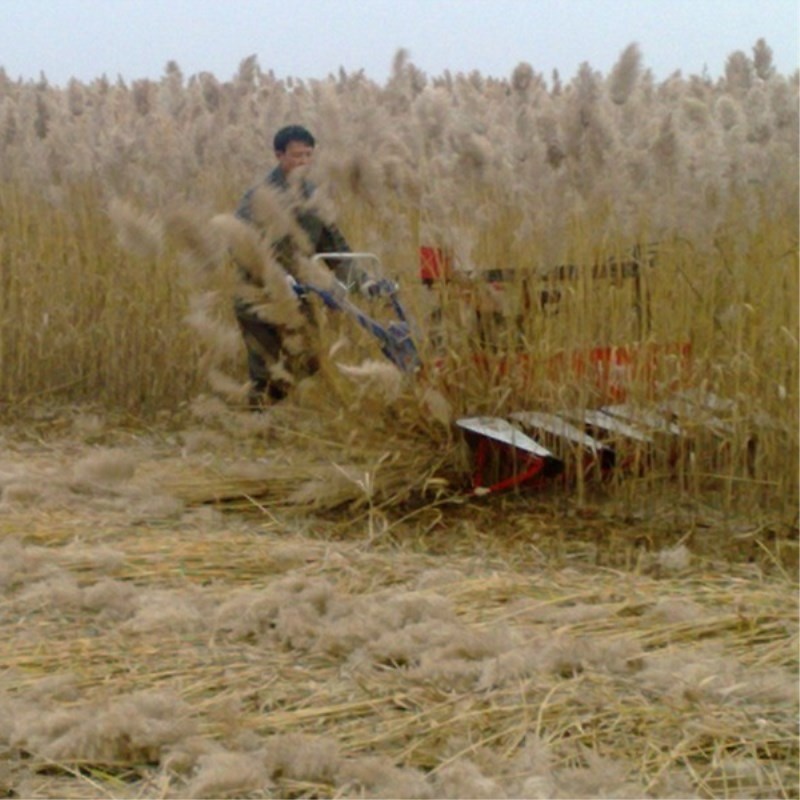 Farm Equipment Small Handy Agr – обзор и цена Agriculture Farming Rice