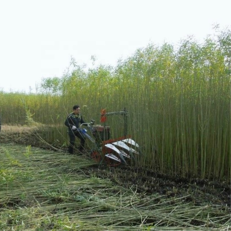 Farm Equipment Small Handy Agr – обзор и цена Agriculture Farming Rice