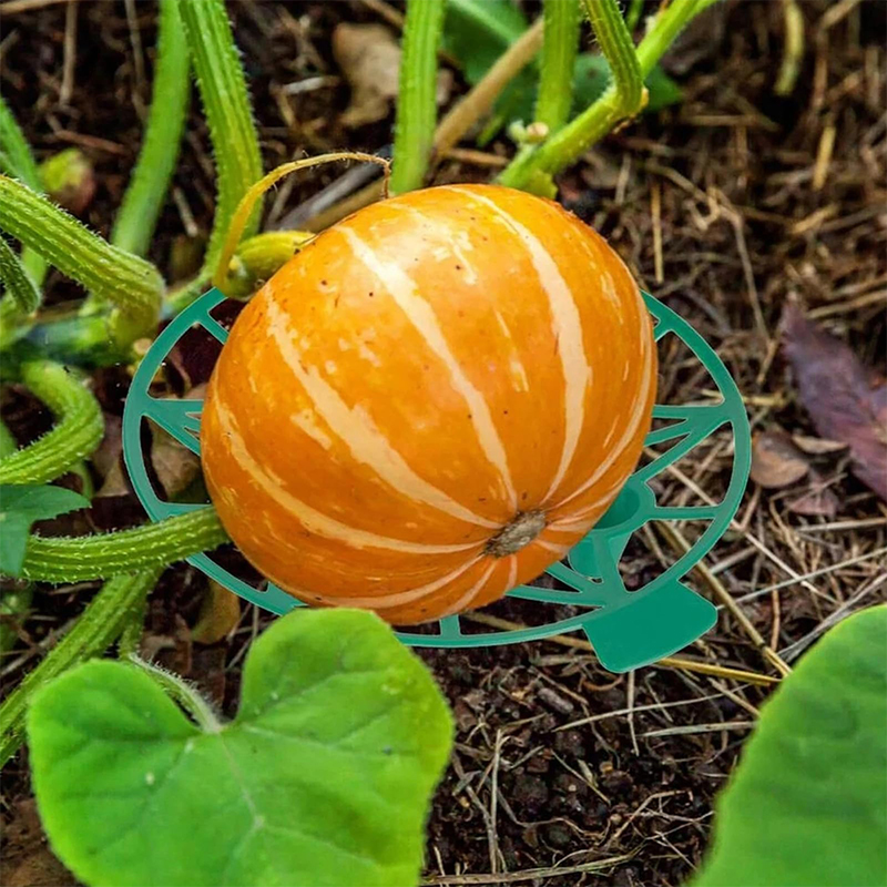 Watermelon Support Greenhouse  – обзор и цена Greenhouse Plastic Film