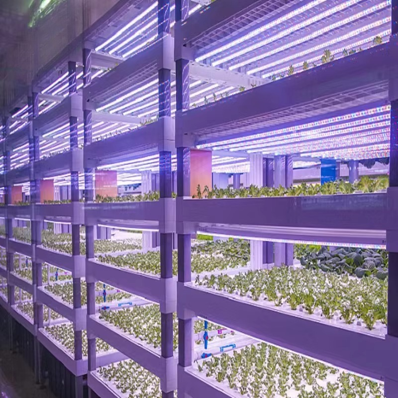 Custom Agricultural Greenhouse – обзор и цена Agriculture Farming System