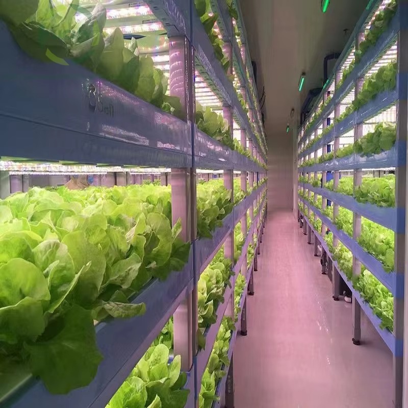 Custom Agricultural Greenhouse – обзор и цена Agriculture Farming System