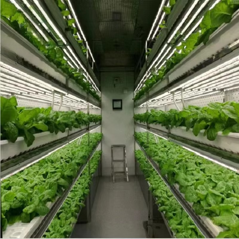 Custom Agricultural Greenhouse – обзор и цена Agriculture Farming System