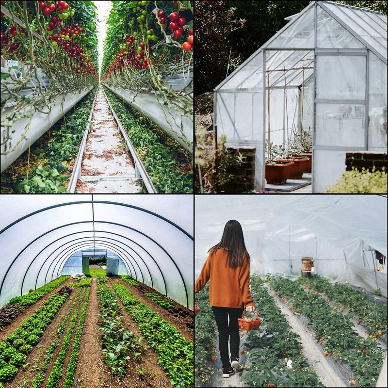 Greenhouse Film, Greenhouse Po – обзор и цена Greenhouse Plastic Film