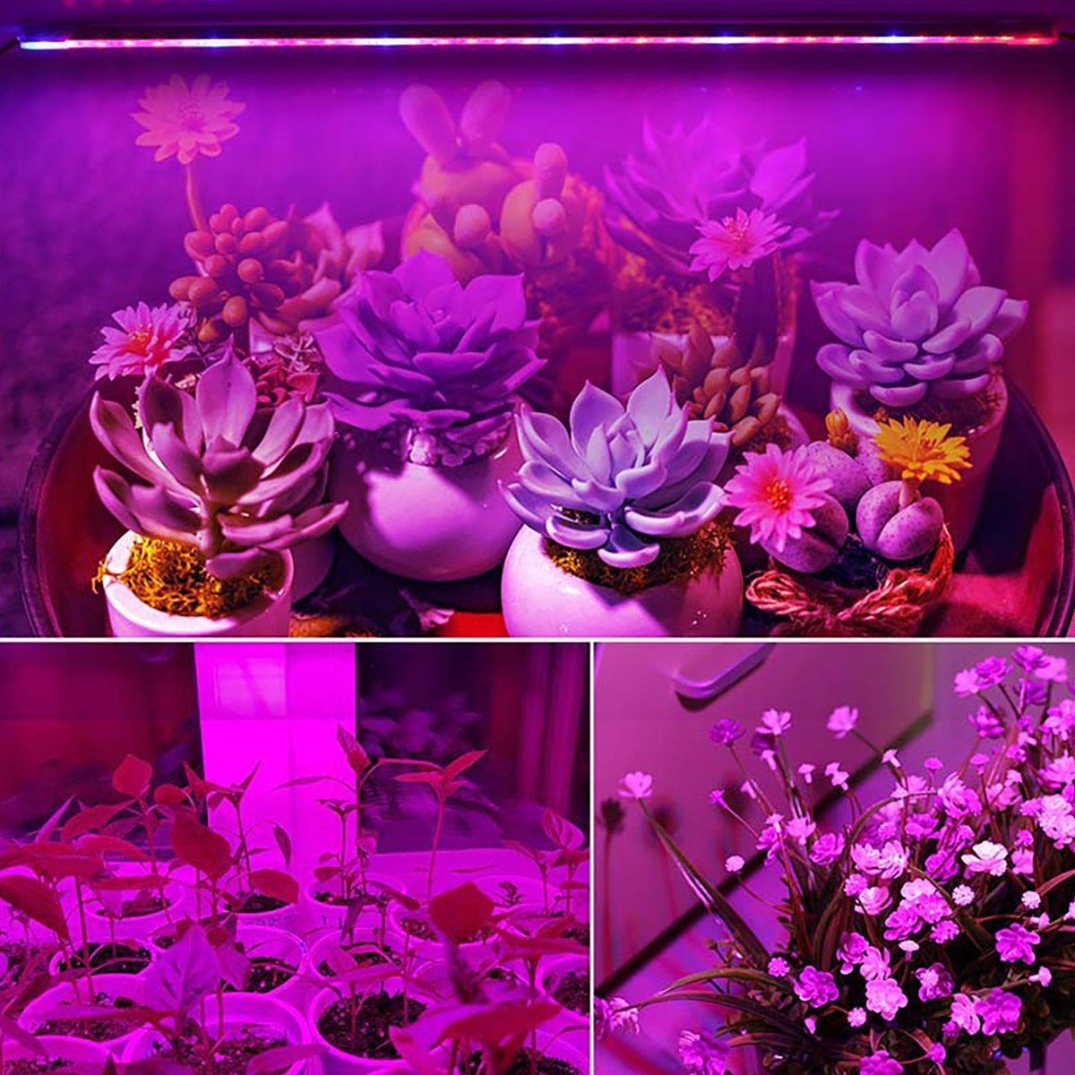 LED Grow Light Full Spectrum B – обзор и цена Hydroponic Nft Channel