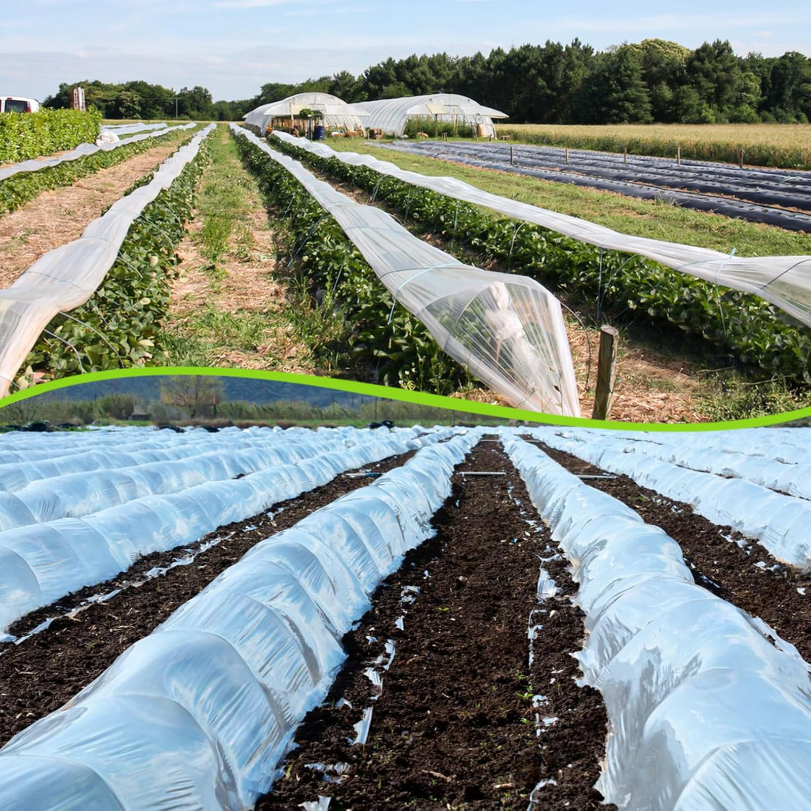 Transparent Greenhouse Plastic – обзор и цена Greenhouse Plastic Film