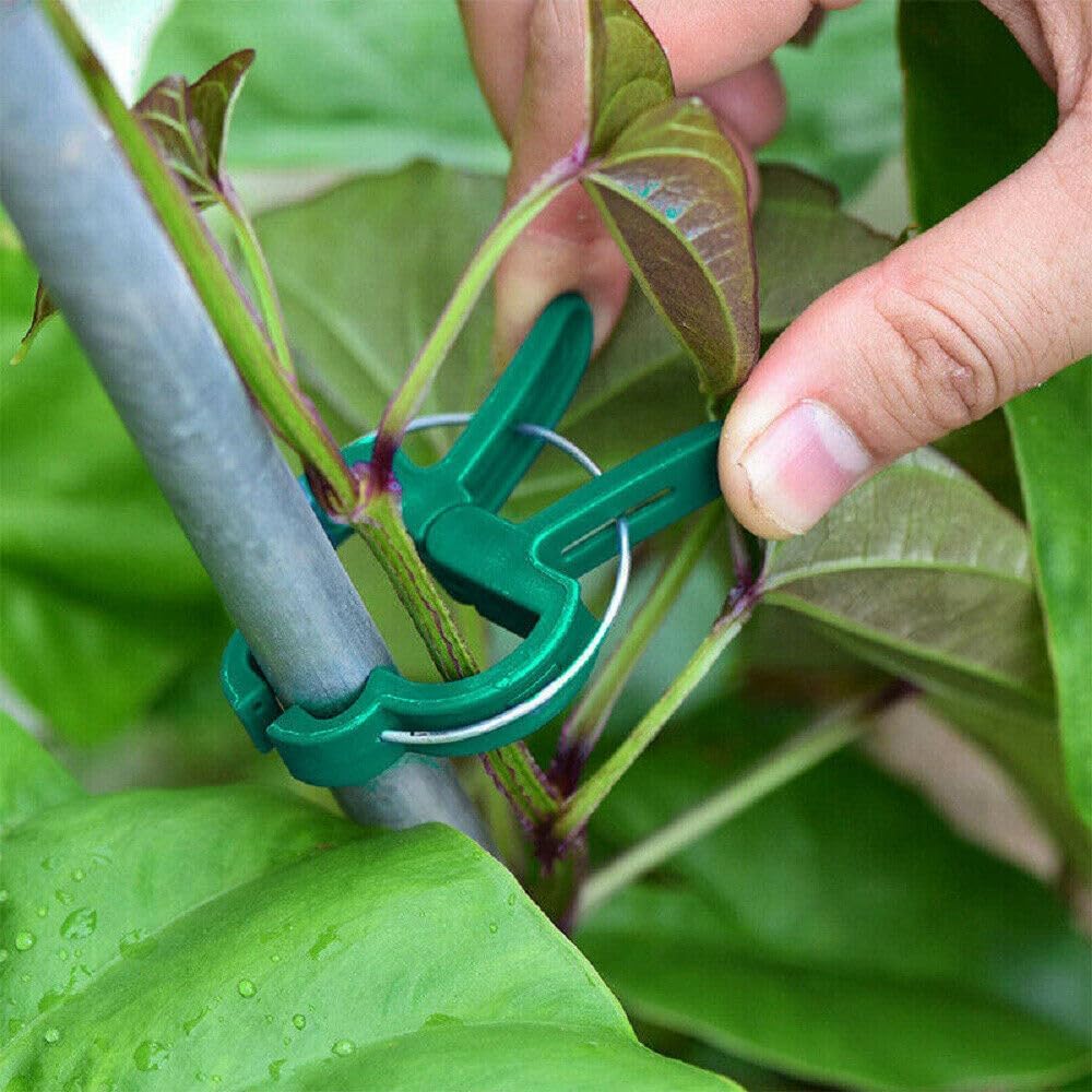 Heavy-Duty Garden Plant Clips  – обзор и цена Greenhouse Plastic Film